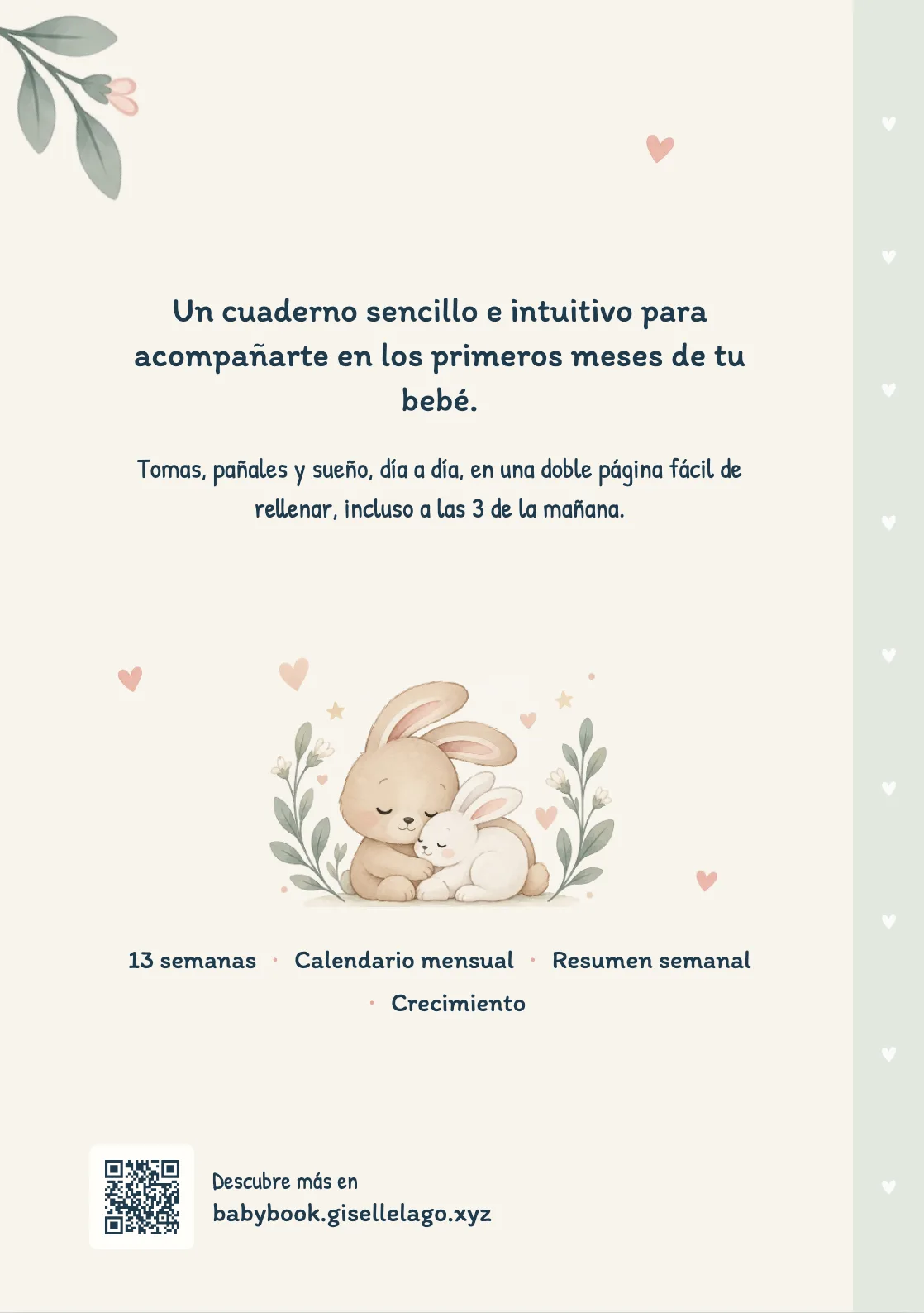 Cubierta trasera del cuaderno